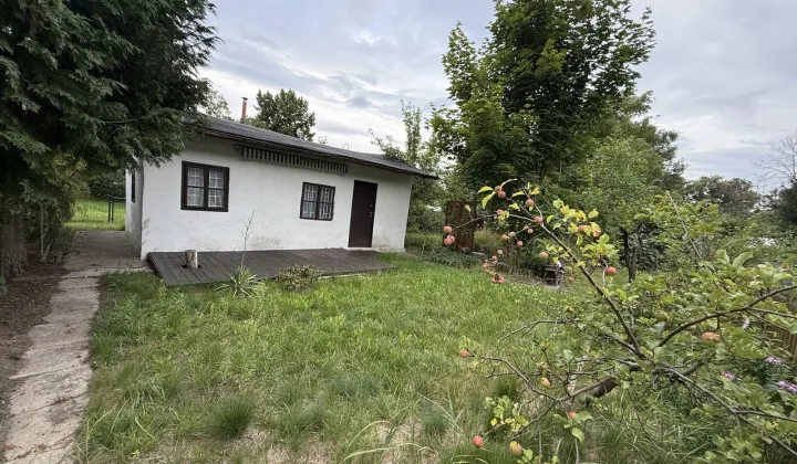 Działka rod Łódź Widzew