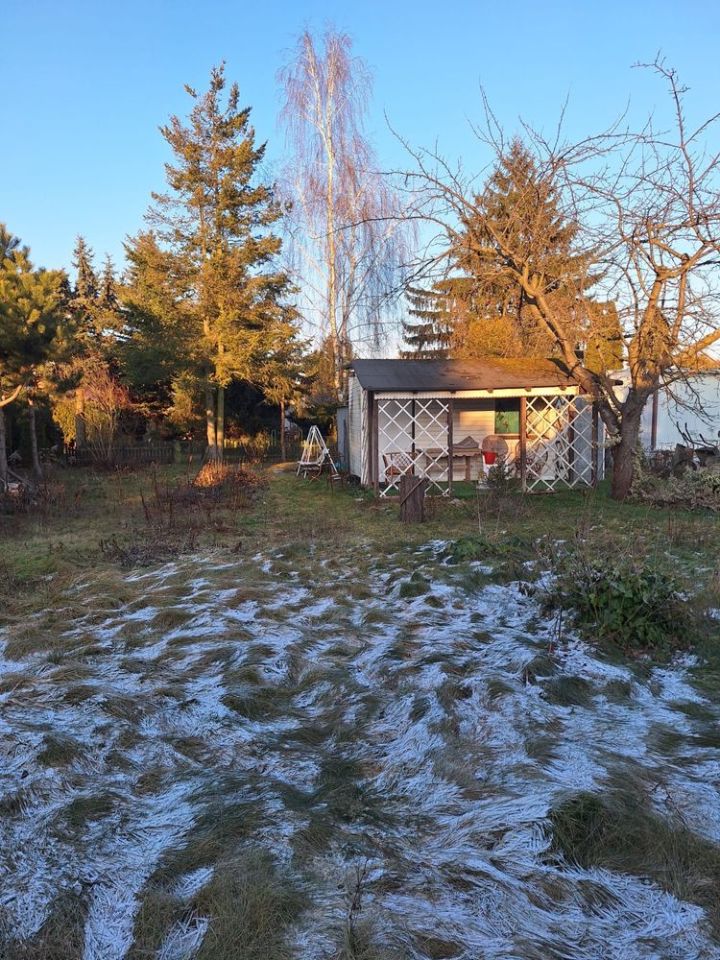 Działka rod Koninko. Zdjęcie 2