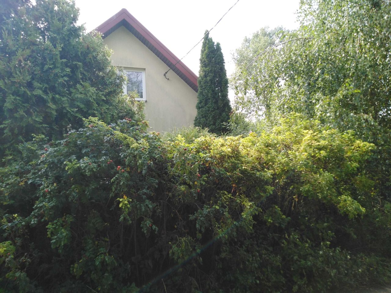 gospodarstwo Zajęczniki. Zdjęcie 7