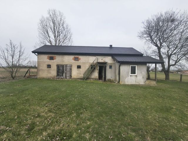 siedlisko Skrzynki. Zdjęcie 1