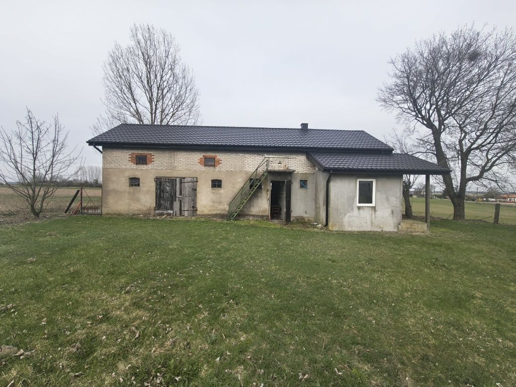 siedlisko Skrzynki. Zdjęcie 1