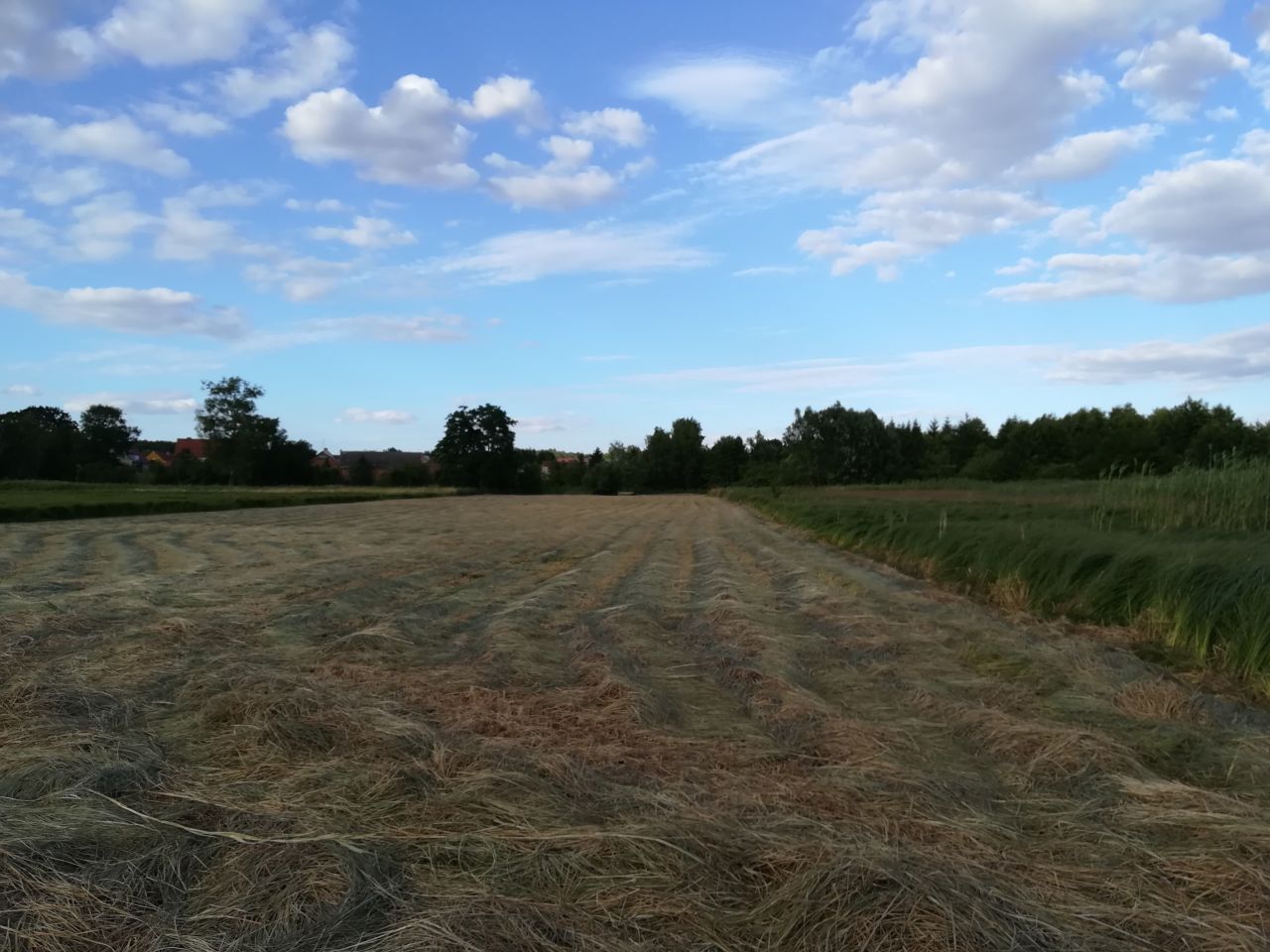 Działka rolno-budowlana Barnkowo. Zdjęcie 4