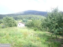 dom wolnostojący, 5 pokoi Sady. Zdjęcie 2