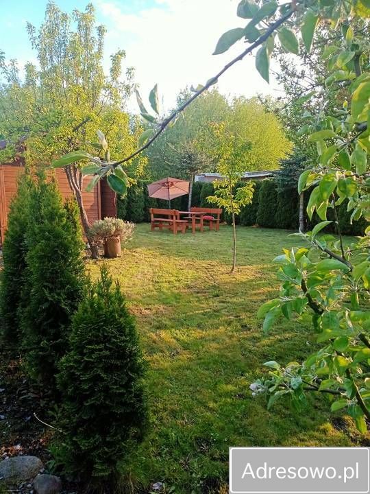 Działka rod Miłosław. Zdjęcie 4