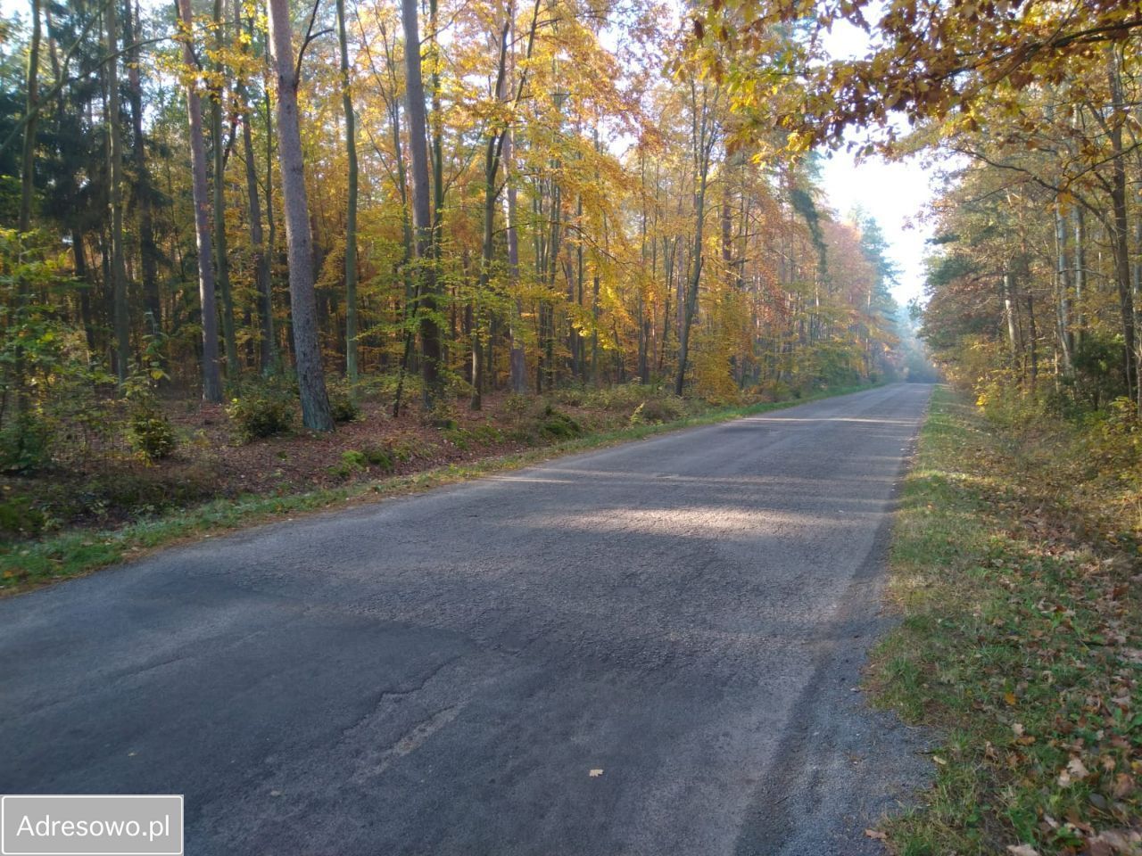 Działka budowlana Nowa Wieś. Zdjęcie 7