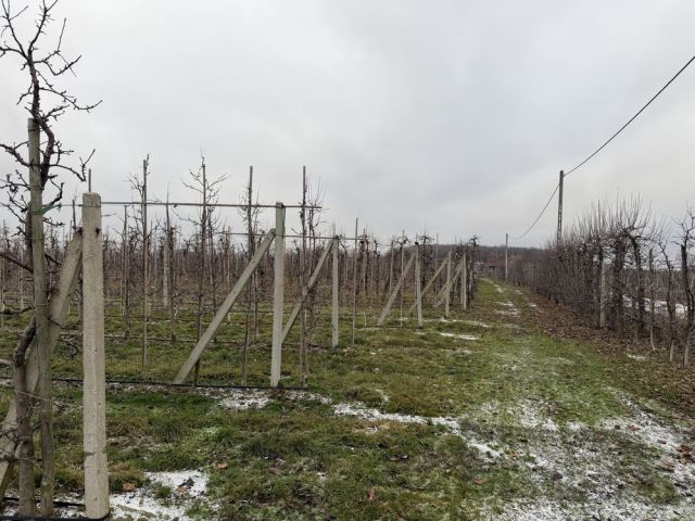 Działka rolna Grzymkowice. Zdjęcie 1