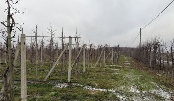 Działka rolna Grzymkowice