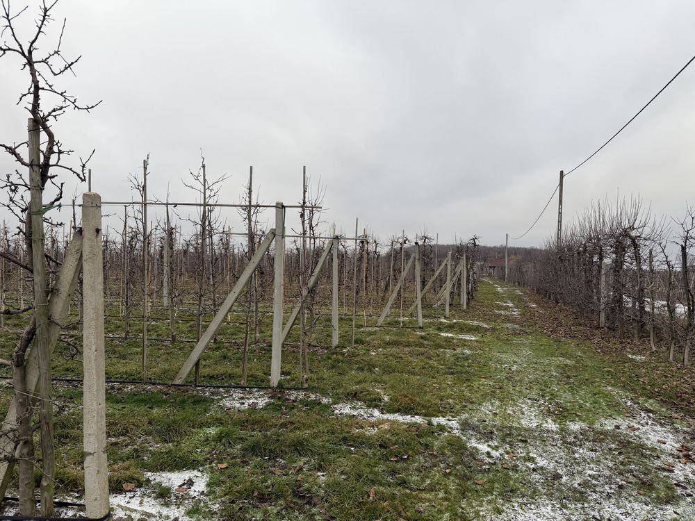 Działka rolna Grzymkowice