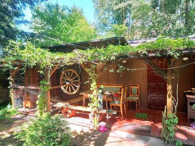 Działka rolna Czempisz. Zdjęcie 1