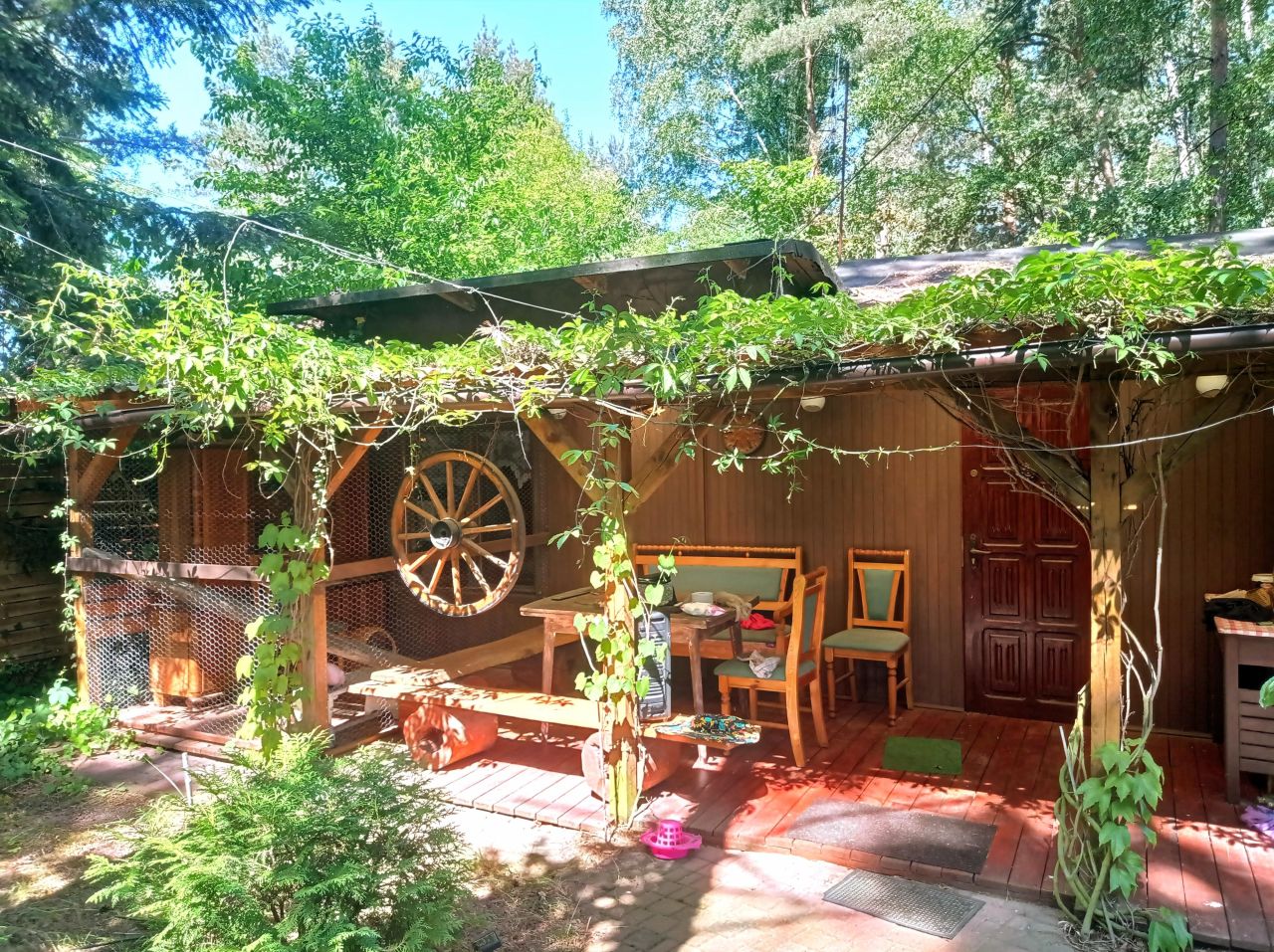 Działka rolna Czempisz. Zdjęcie 1