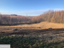 Działka budowlana Chmielnik. Zdjęcie 2