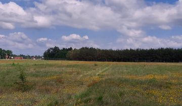 Działka rolna Zabrody