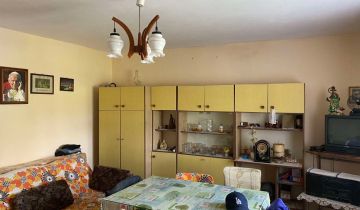 Działka rod Kalisz, ul. Borkowska