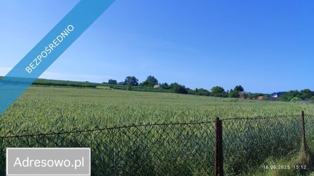 Działka budowlana Dzierzkowice-Podwody. Zdjęcie 1