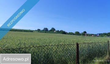Działka budowlana Dzierzkowice-Podwody