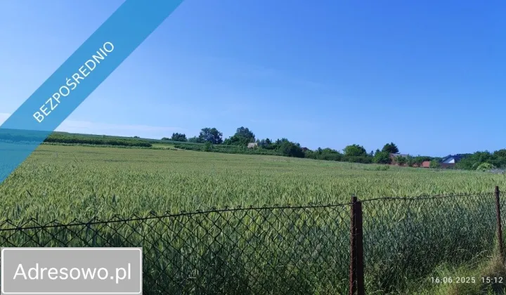 Działka budowlana Dzierzkowice-Podwody