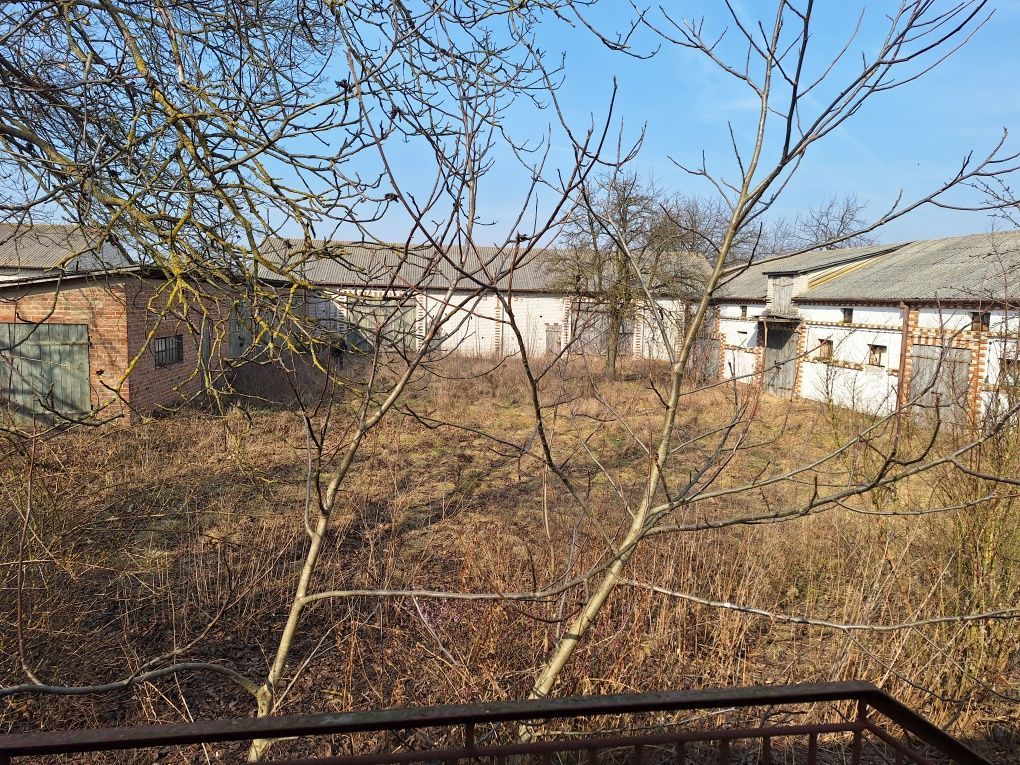 gospodarstwo Janów. Zdjęcie 3