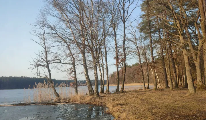 Działka rolno-budowlana Rekowo