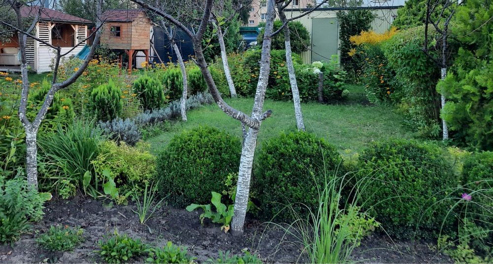 Działka rod Lębork. Zdjęcie 3