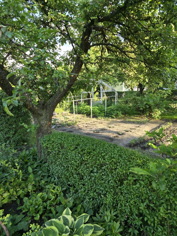 Działka rod Inowrocław Rąbin, Zapadle. Zdjęcie 6