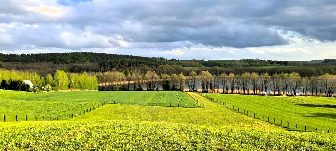 Działka budowlana Pasterzewo