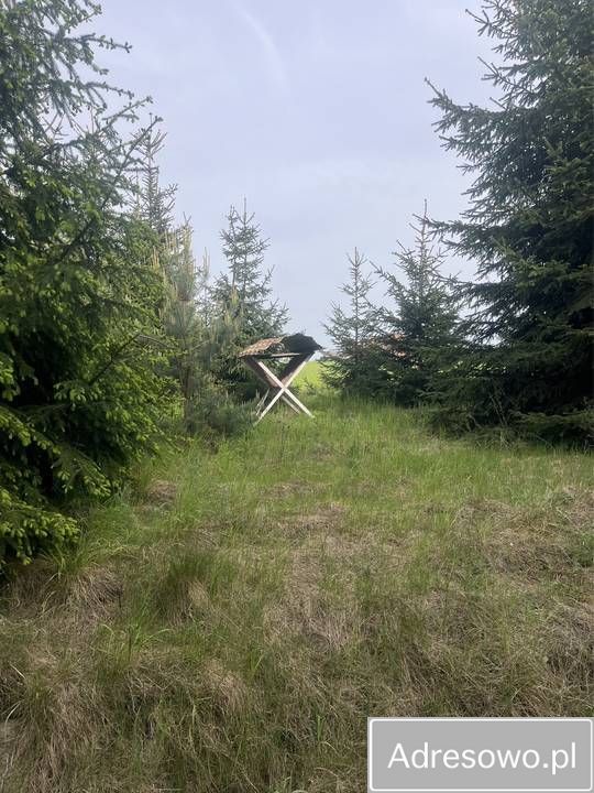 Działka siedliskowa Stary Bazanów. Zdjęcie 2