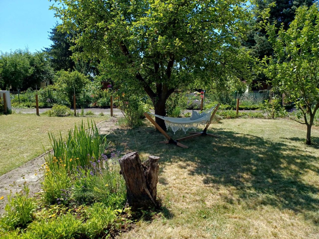 Działka rod Poznań Dębiec, ul. Samotna. Zdjęcie 8