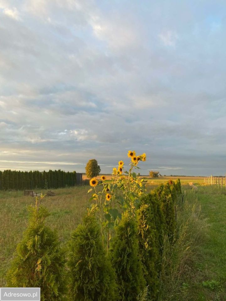 dom wolnostojący, 4 pokoje Kulin. Zdjęcie 12