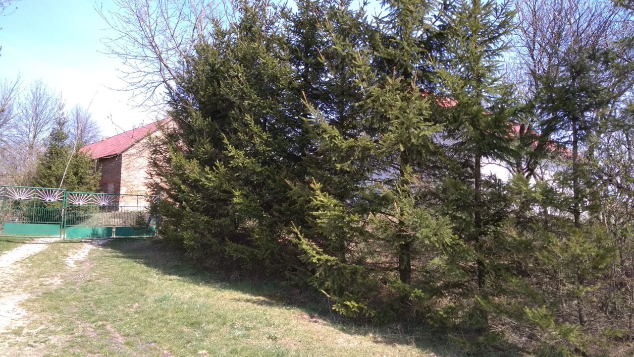 dom wolnostojący, 2 pokoje Hrebenne, Hrebenne. Zdjęcie 13
