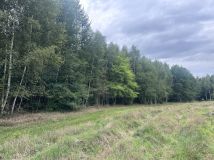 Działka leśna Łętowo. Zdjęcie 1