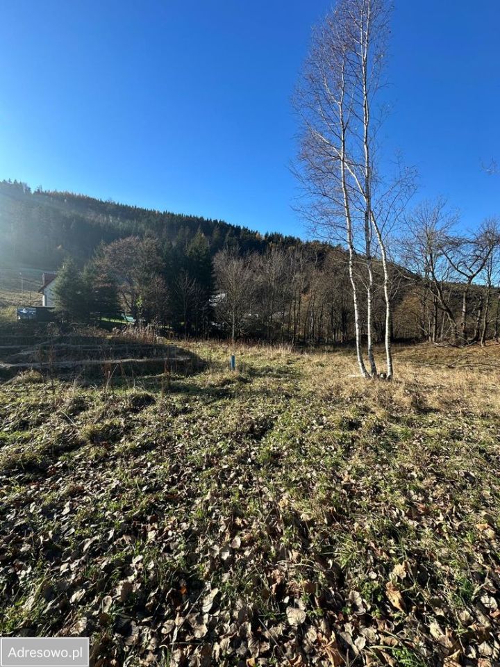 Działka budowlana Rzeczka. Zdjęcie 3
