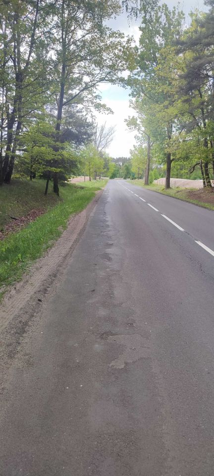 Działka leśna Wypychów. Zdjęcie 5