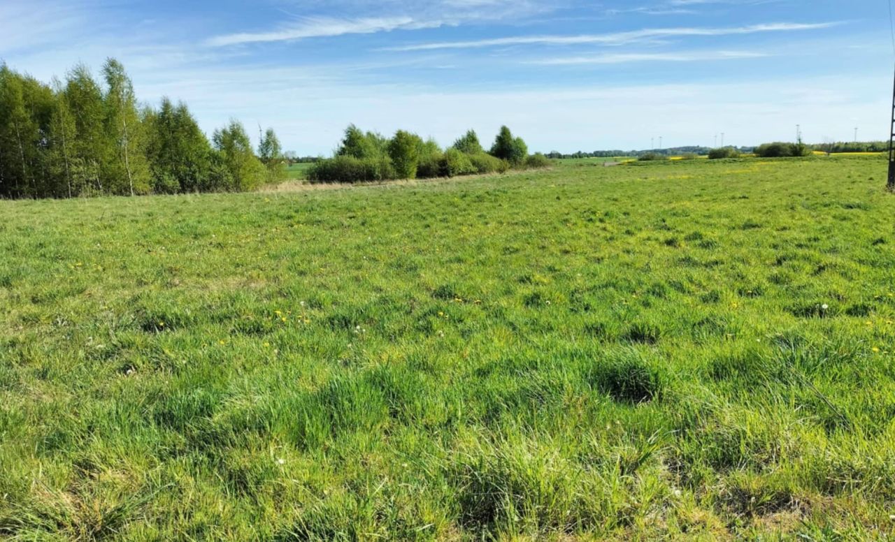 Działka budowlana Dygowo. Zdjęcie 6