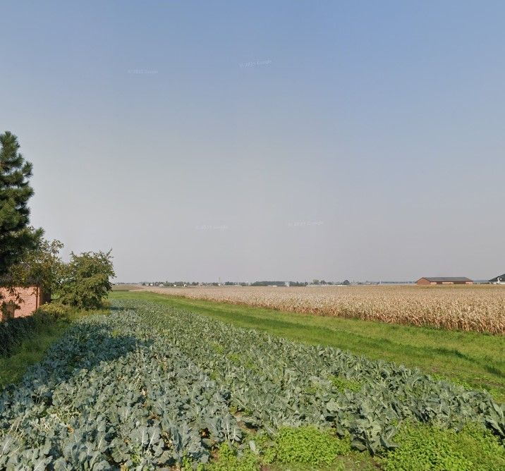 Działka rolna Kolonia Skarszewek. Zdjęcie 3