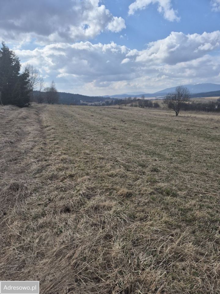 Działka rolna Podsarnie. Zdjęcie 3