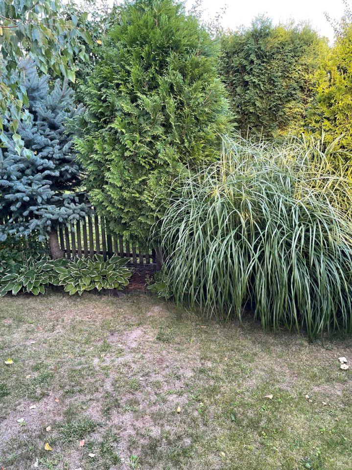 Działka rod Mielec. Zdjęcie 3