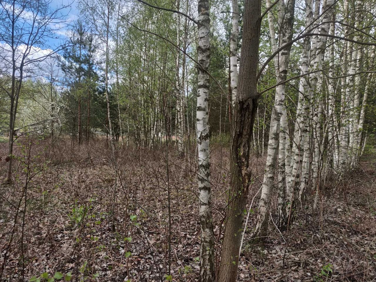 Działka budowlana Makówka, ul. Chmielna. Zdjęcie 6