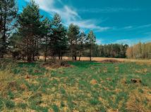 Działka siedliskowa Zabłudów, ul. Kolonia. Zdjęcie 1