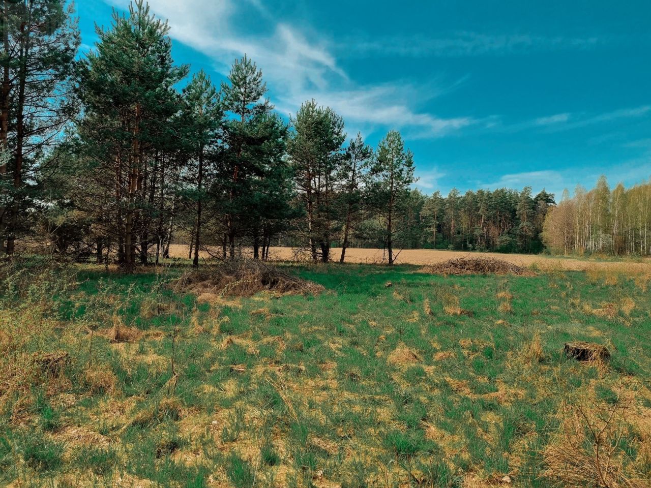 Działka siedliskowa Zabłudów, ul. Kolonia. Zdjęcie 2