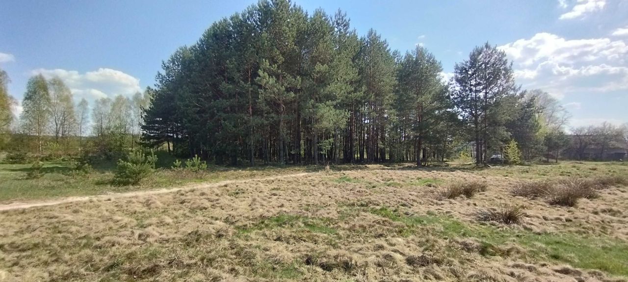 Działka rolna Poręby Dymarskie. Zdjęcie 3