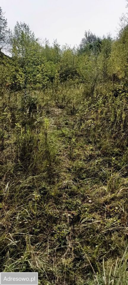 Działka Wyżne. Zdjęcie 6