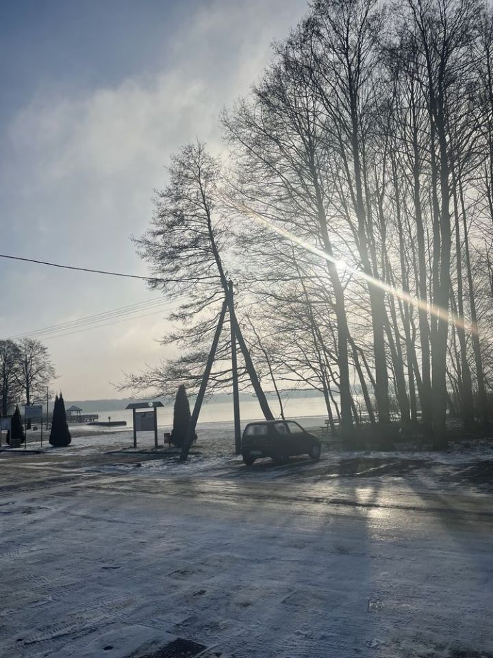 Działka rolna Rybno. Zdjęcie 2