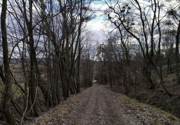 Działka rolna Puńców. Zdjęcie 2