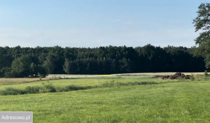 Działka budowlana Skruda