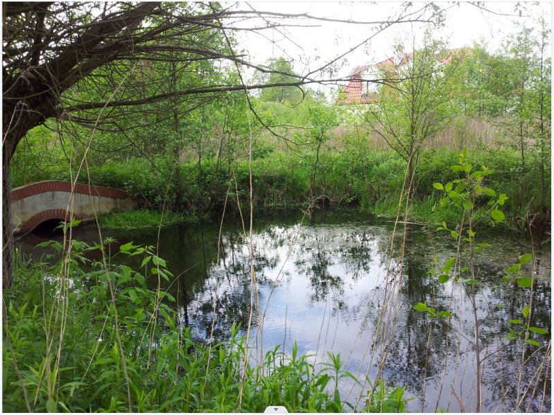 dworek, 6 pokoi Teofile. Zdjęcie 3