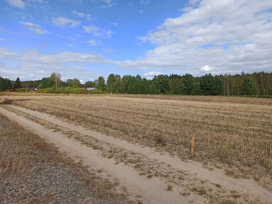 Działka rolno-budowlana Leopoldów. Zdjęcie 5