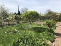 Działka rod Szczecin Pogodno, ul. Stanisława Ignacego Witkiewicza. Zdjęcie 4