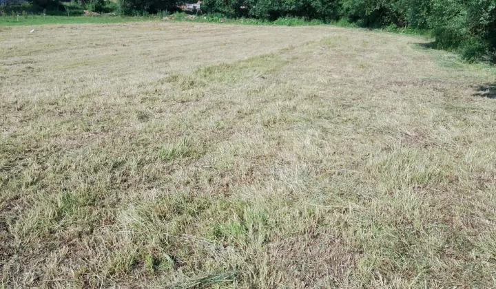 Działka rolno-budowlana Biała
