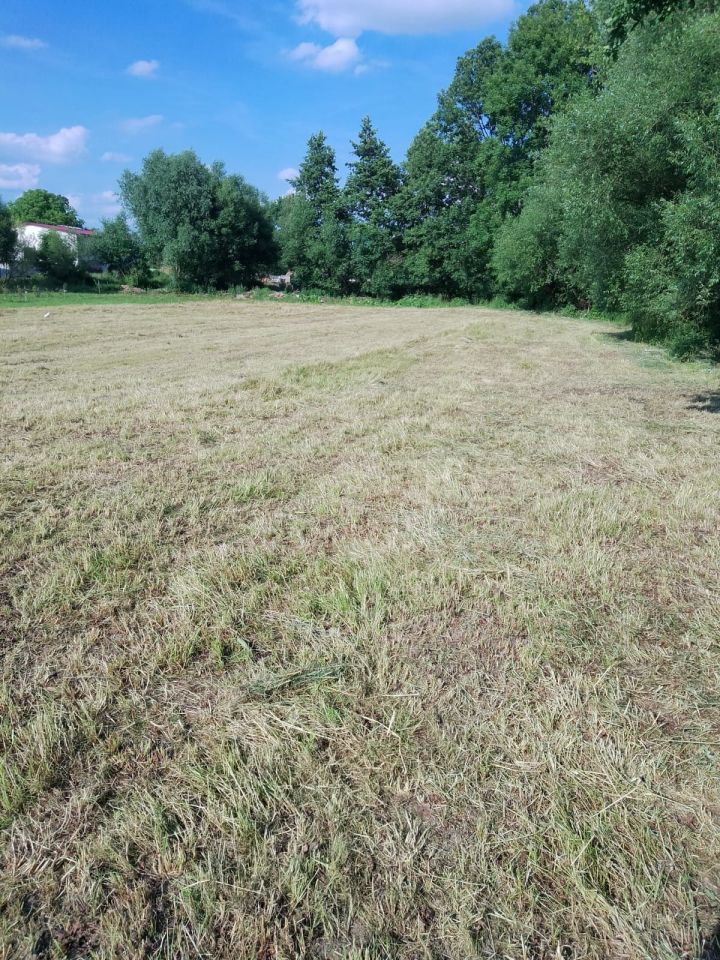 Działka rolno-budowlana Biała. Zdjęcie 1