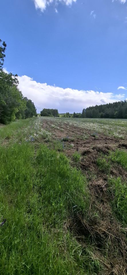Działka siedliskowa Stara Prawda. Zdjęcie 6